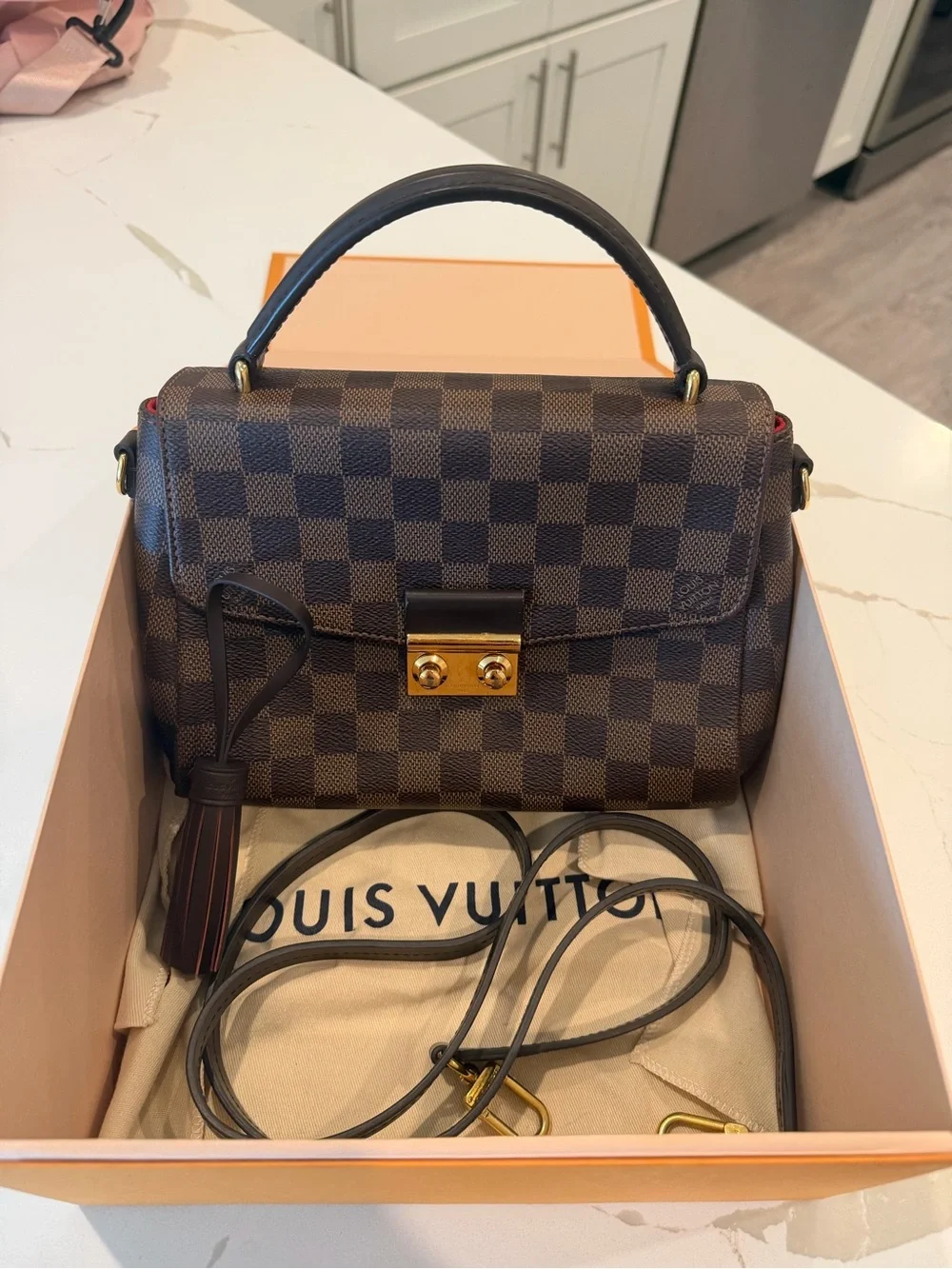 Louis Vuitton Damier Ebene Top Handle Bag in Brown